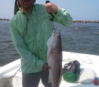 img_20130805_104808