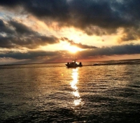 Sunset Trip